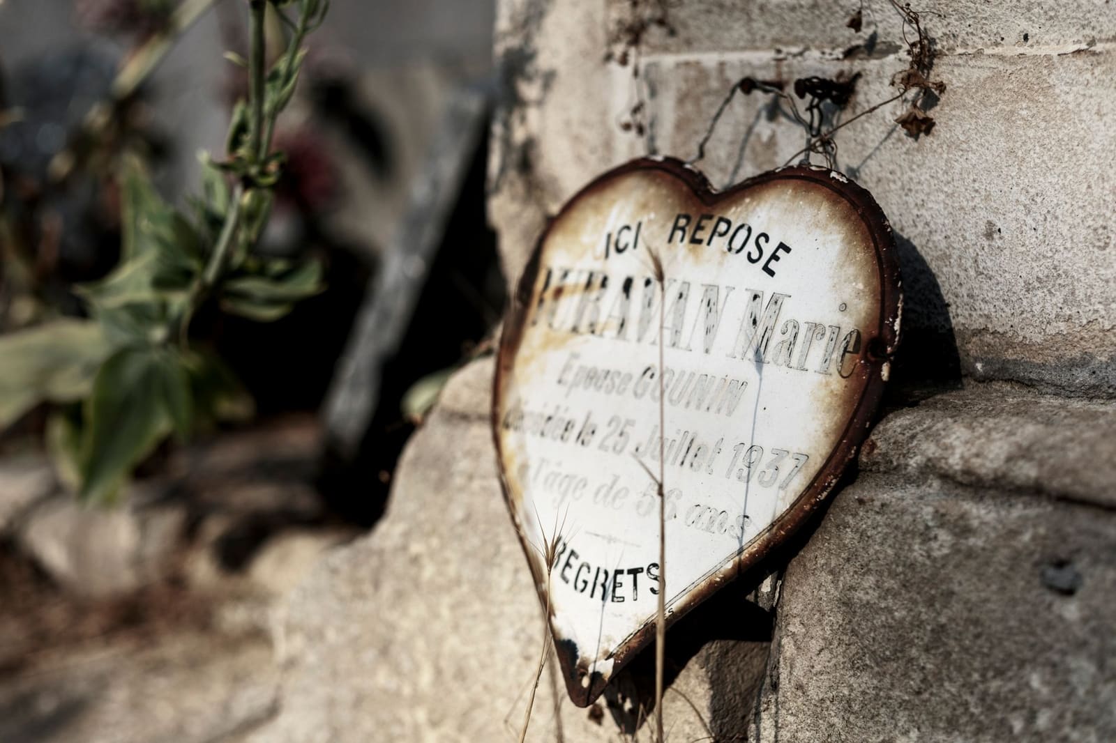 30 ans, passionné de photo : comment monétiser sa passion et trouver ses premiers clients en 2026